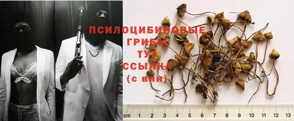 твердый Белоозёрский