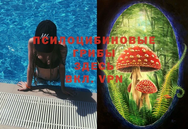 твердый Белоозёрский